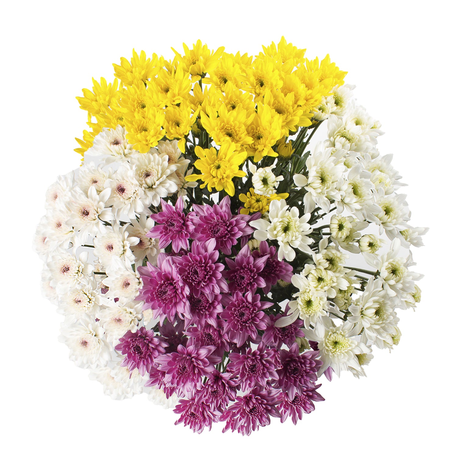 Assorted_Natural_Pompom_Cushio