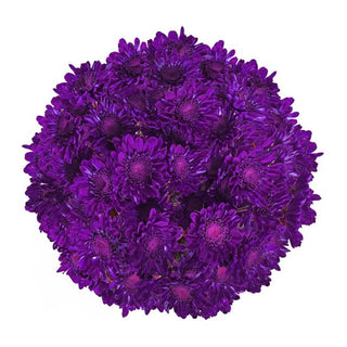 Purple Tinted Pompom Cushion