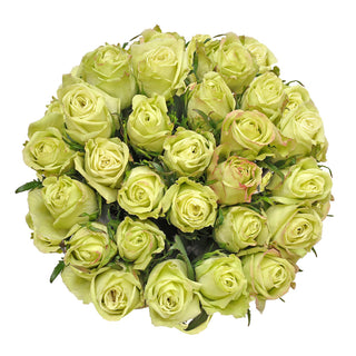 Blooming Boxes, Green Roses
