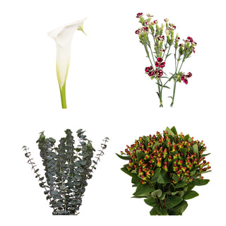 DIY Design Collection - Delight - 160 Stems