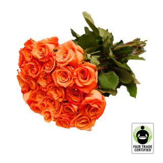 Fair Trade Natural Orange Roses - Choose from  25 to 100 Stems