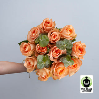 Fair Trade Natural Peach Roses - Choose from  25 to 100 Stems