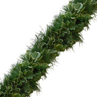 Fresh Handmade Garland - Tree Fern & Variegated Pittosporum