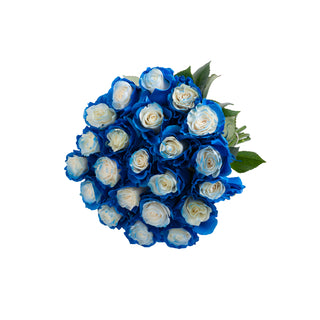Blue Fairy Painted Roses