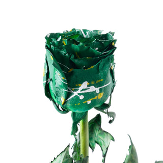Zelda Confetti Painted Roses
