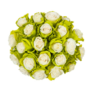 Marshmallow White & Lime Green Painted Roses
