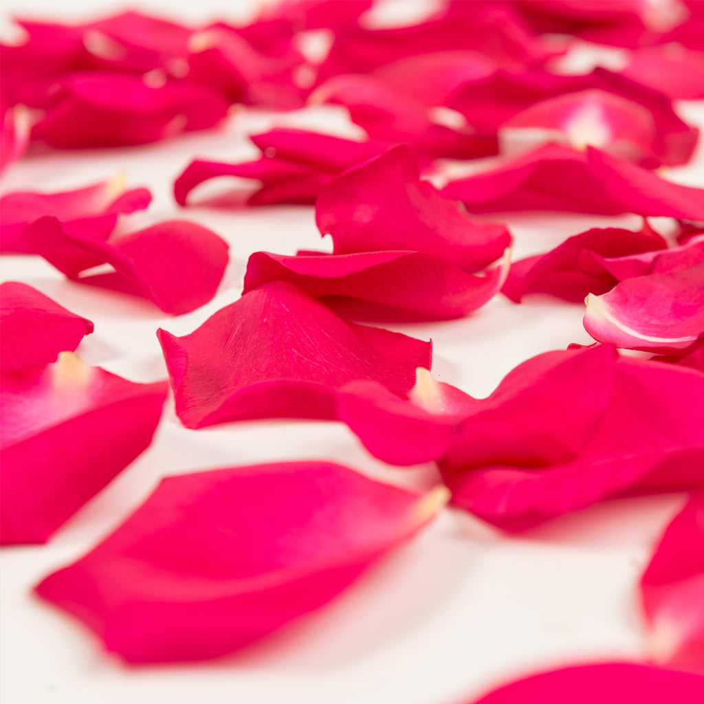  ATFL 0.9 Pound Pink Rose Petals, 5000 Pcs Rose Petals