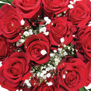 Dozen Red Roses Bouquet - pack 18
