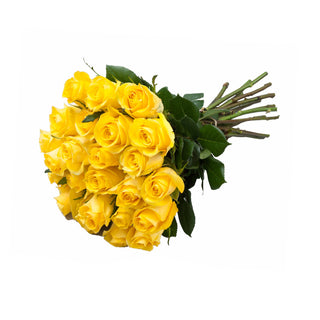 24 Farm Fresh Yellow Roses Gift