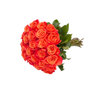 Orange Roses - Choose from 25 to 200 Stems