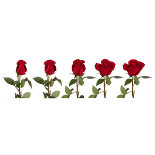 Red Roses - Choose from 25 to 200 Stems