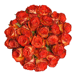 Assorted Novelty Roses - Choose from 25 to 200 Stems