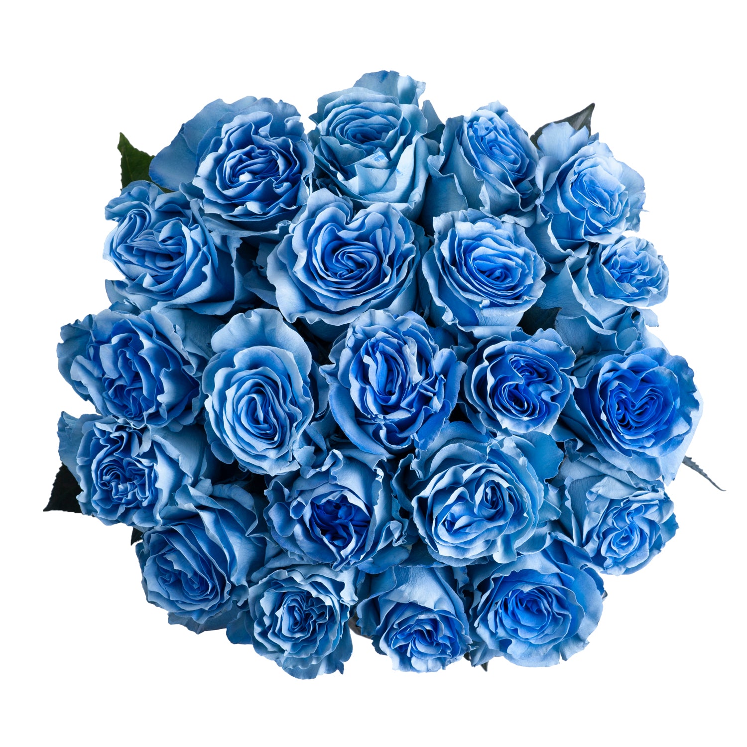 ヴィクトリースパーク　BLUE ROSES サイン　3枚セット 2026年最新】ヴィクトリースパーク サインの人気アイテム - メルカリ