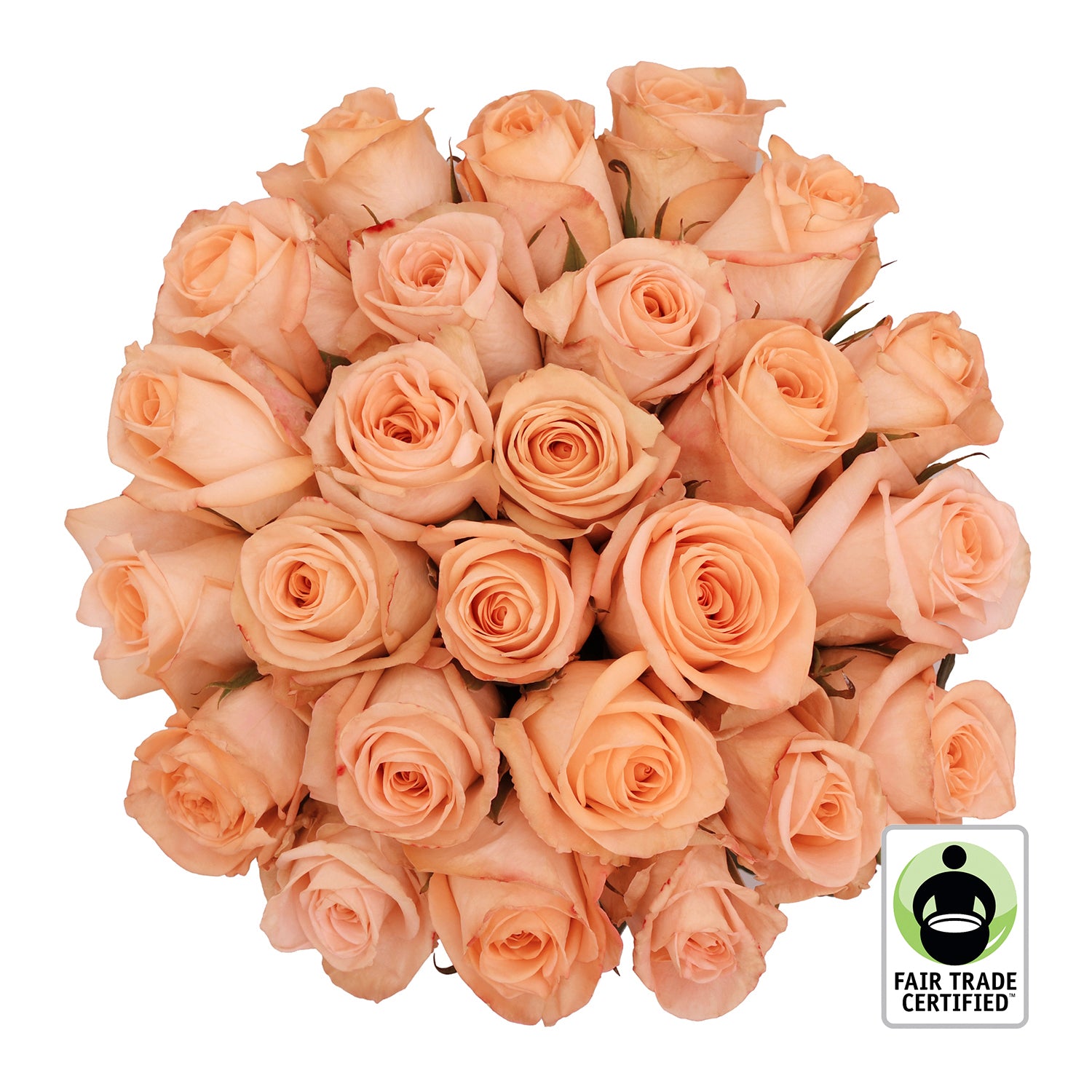 Fair_Trade_Natural_Peach_Roses