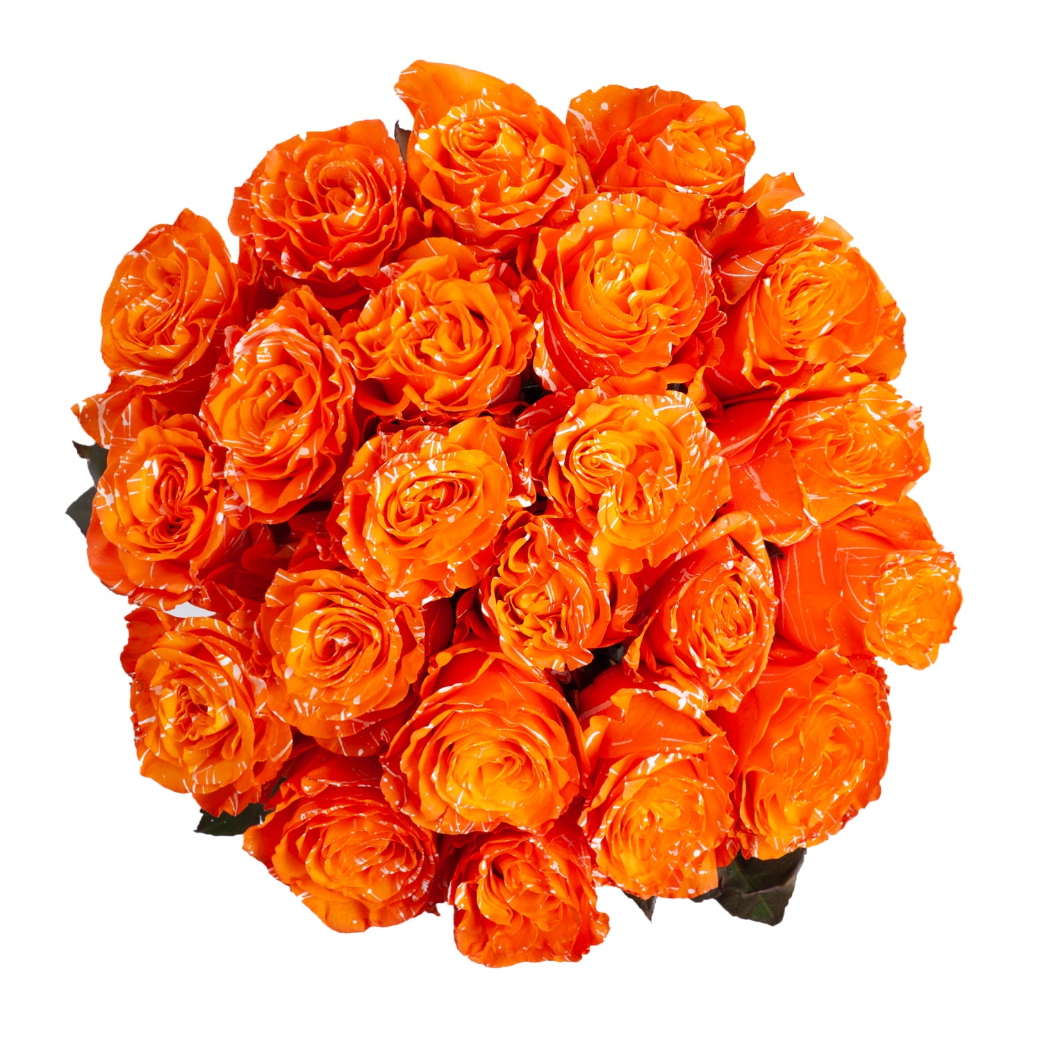 Hazel_Confetti_Painted_Roses_O