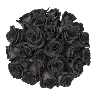 Black Tinted Roses
