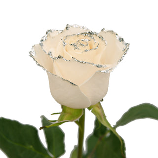 White & Silver Glitter Roses