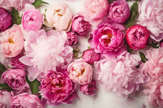 Peony in Love: Reasons to adore these gorgeous blooms