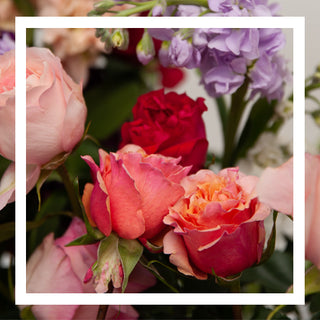 Product of the Month: August - Roses