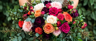 How to Care for Your Roses: A Complete Guide from Our Blooms Team
