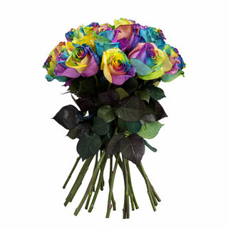 Beautiful rainbow-tinted roses with multicolored petals in red orange yellow green blue and purple celebrating LGBTQ Pride Month