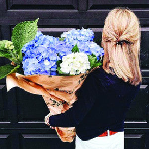 5 Things You Never Knew About Hydrangeas