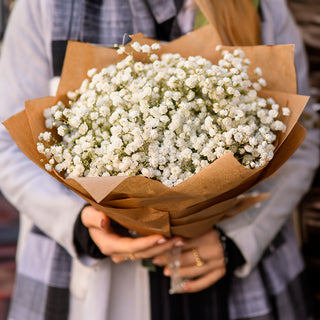 Natural White Baby's Breath
