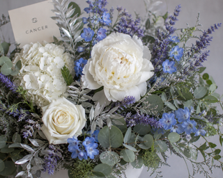 Bloomstellation Cancer Collection | Zodiac Flowers by Bloomingmore