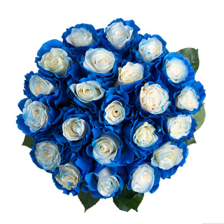 Blue and white painted roses