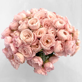 Deluxe Garden Roses