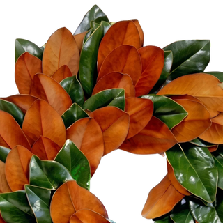 A close-up of a magnolia leaf wreath made of glossy, large leaves in warm coppery brown and deep green, arranged in a circular shape against a plain white background.