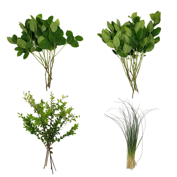 Greenery assorted box, salal, bear grass, green huckleberry 