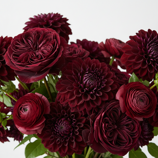 Burgundy Flowers Collection