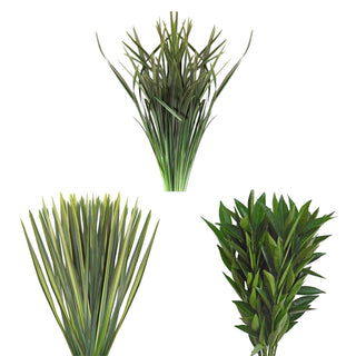 Assorted greenery flax, lily grass and cocculus