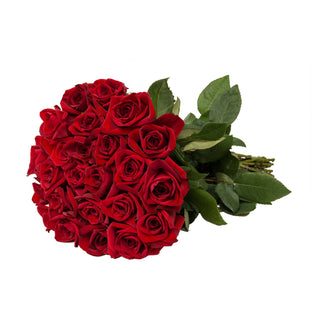 24 farm fresh red roses gift bunch