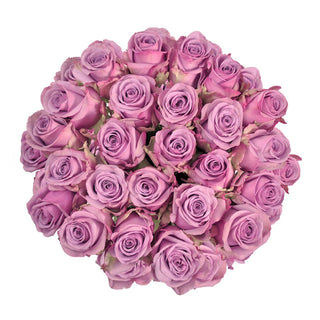 Blooming boxes lavender roses subscription 