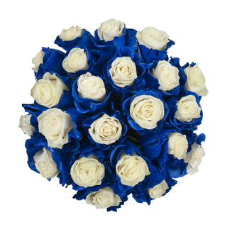 White and blue painted roses, memorial day