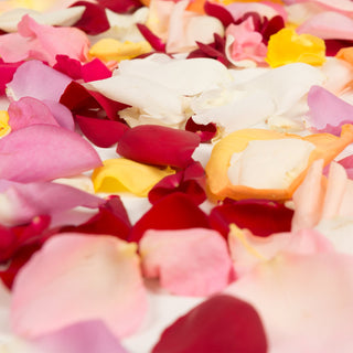 Rose petals for romantic proposals