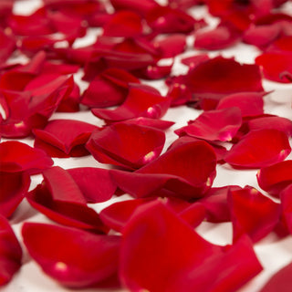 Red rose petals