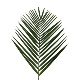 Green tepee palm