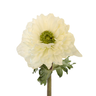 Anemones Levante White