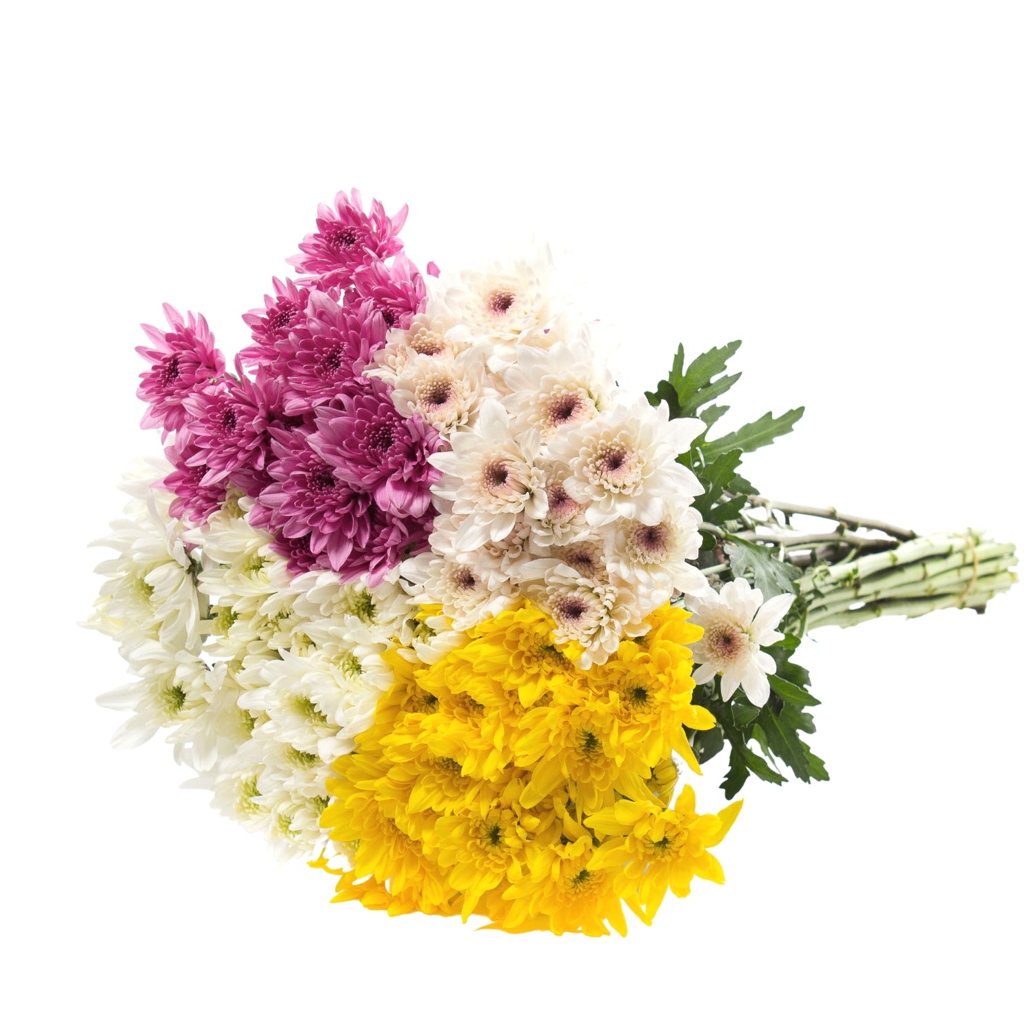 Assorted_Natural_Pompom_Cushio