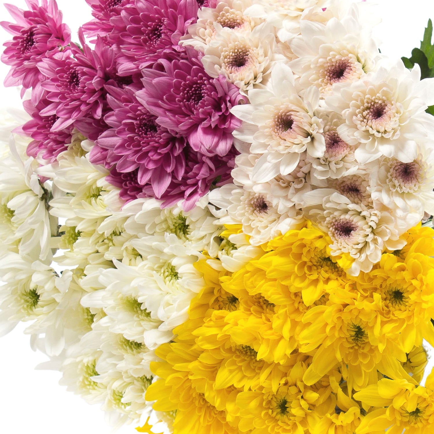 Assorted_Natural_Pompom_Cushio