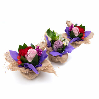 Mini Bouqueto Lavender - pack 20