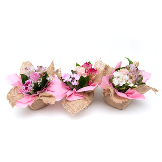 Mini Bouqueto Pink - pack 20