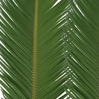 King Sago Palm 5 ft. - 150 Stems