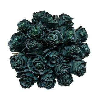 Dark Turquoise Painted Roses