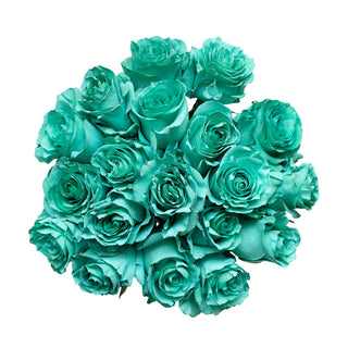 Tempo Teal Painted Roses