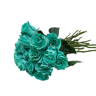 Tempo Teal Painted Roses