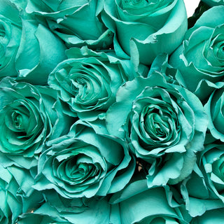 Tempo Teal Painted Roses